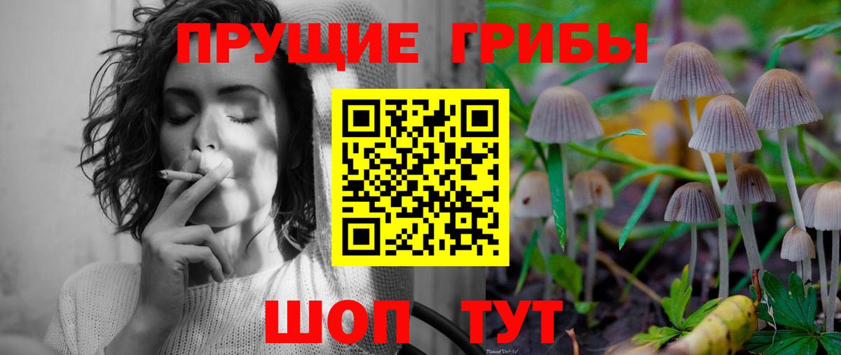 Галлюциногенные грибы MAGIC MUSHROOMS Топки